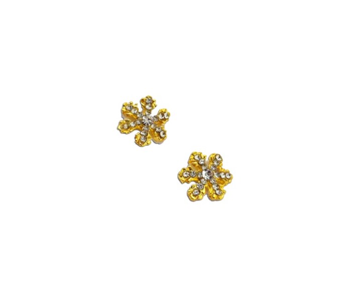 PAR DIJE COPO DE NIEVE