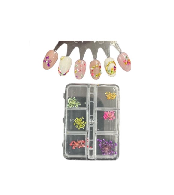 NATURALEZA MUERTA 6U